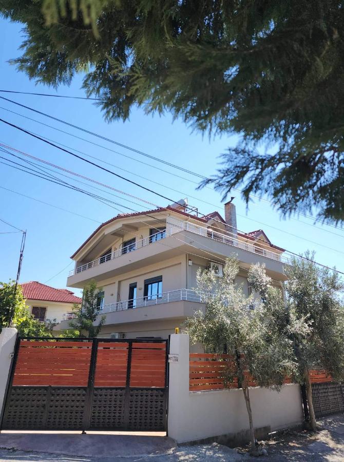 The Olive View Apartment By Ceni, Elbasan Exterior photo